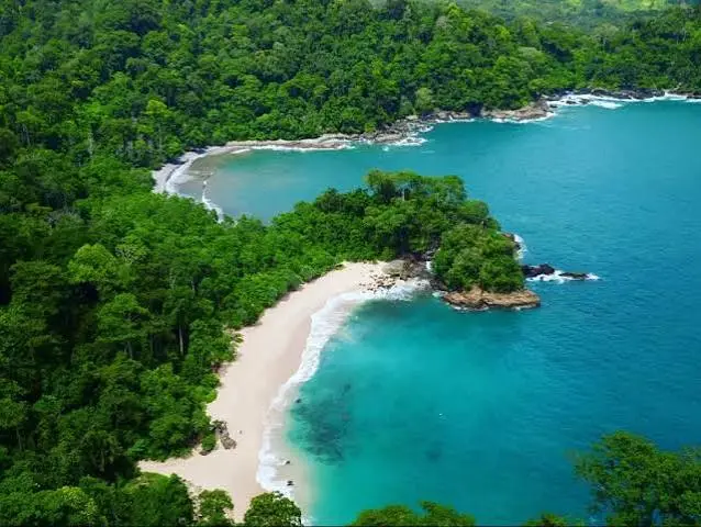 teluk hijau dari atas 