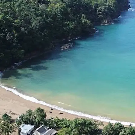 WEDI AWI PULAU