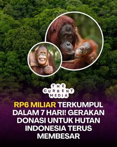 Patungan untuk Hutan Ferry Irwandi